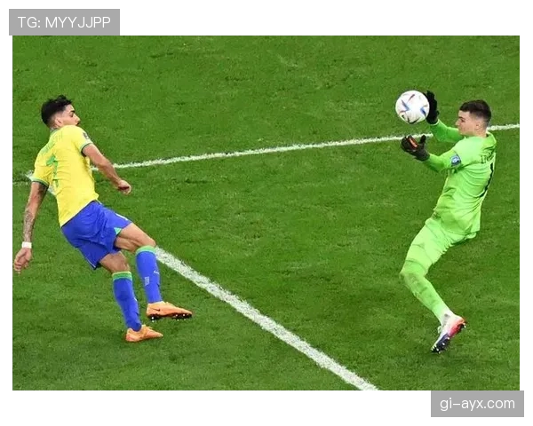 克罗地亚利瓦科维奇扑点